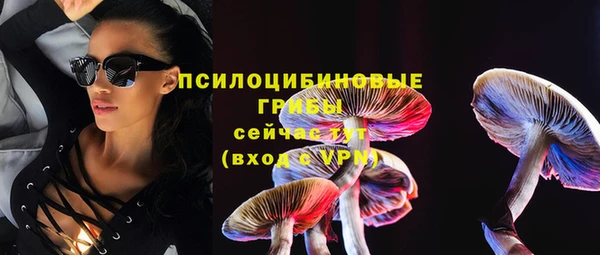 прущий лед Михайловка